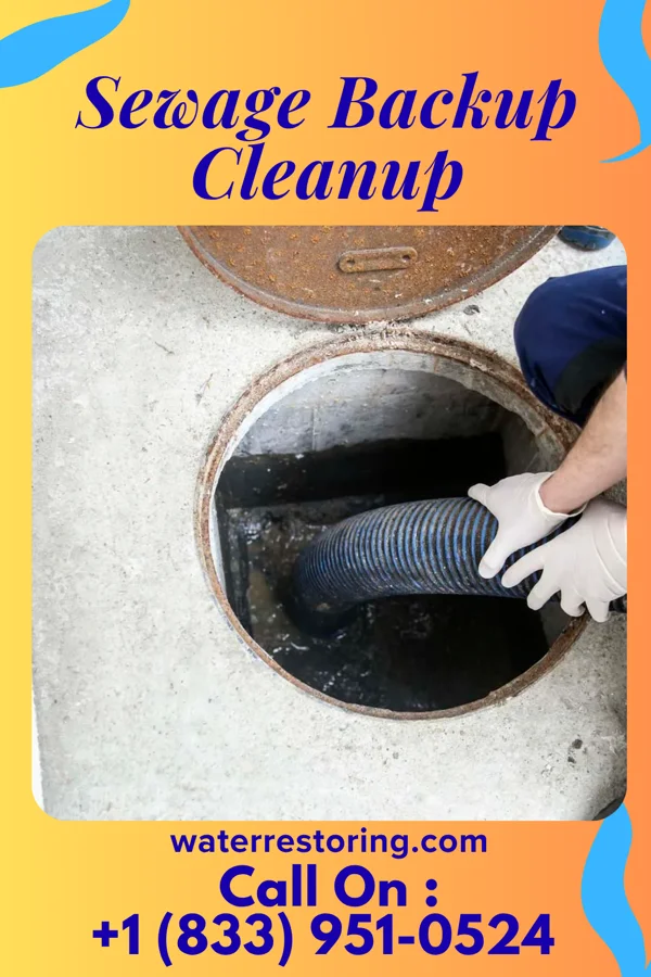 Sewage Backup Cleanup in St. Joseph, MI
