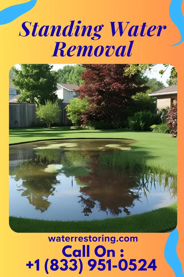 Standing Water Removal in St. Joseph, MI